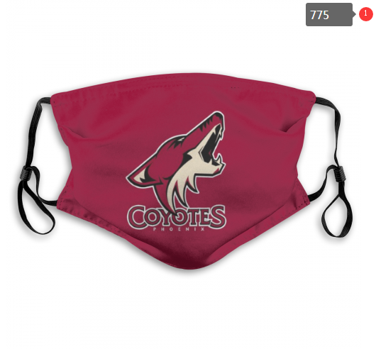 NHL Arizona Coyotes Dust mask with filter